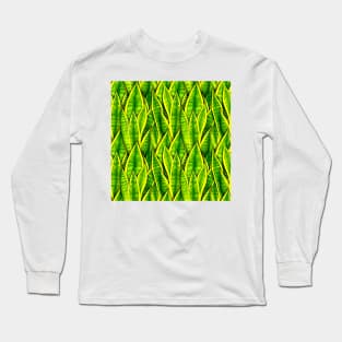 Sansevieria Trifasciata Laurentii Pattern Long Sleeve T-Shirt